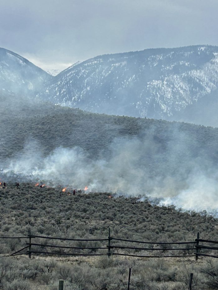 Cultural Burn and Regrowth - Fire as Restoration